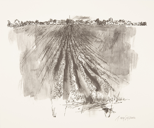 Tougalo College Art Collections, Tracy Sugarman Collection,  2002.02, Gift of Tracy Sugerman 