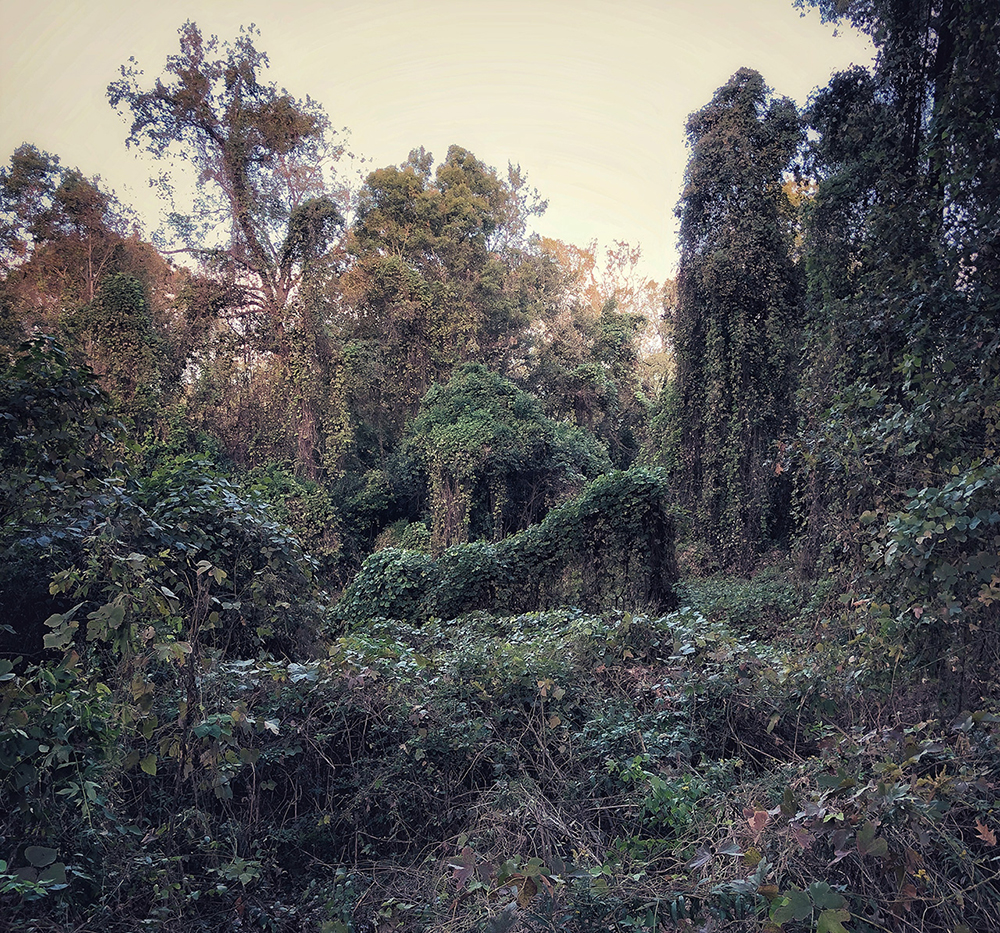 Ben Hillyer (born 1968), 