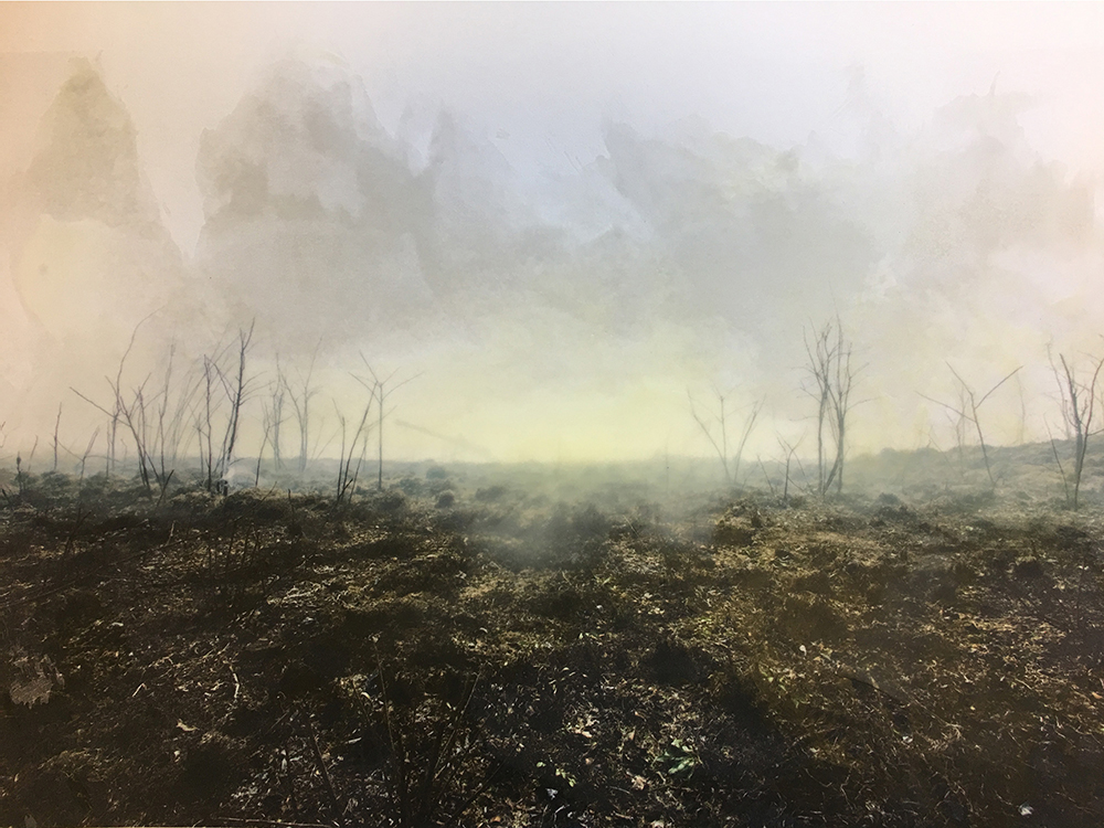 Brooke White (born 1975), 