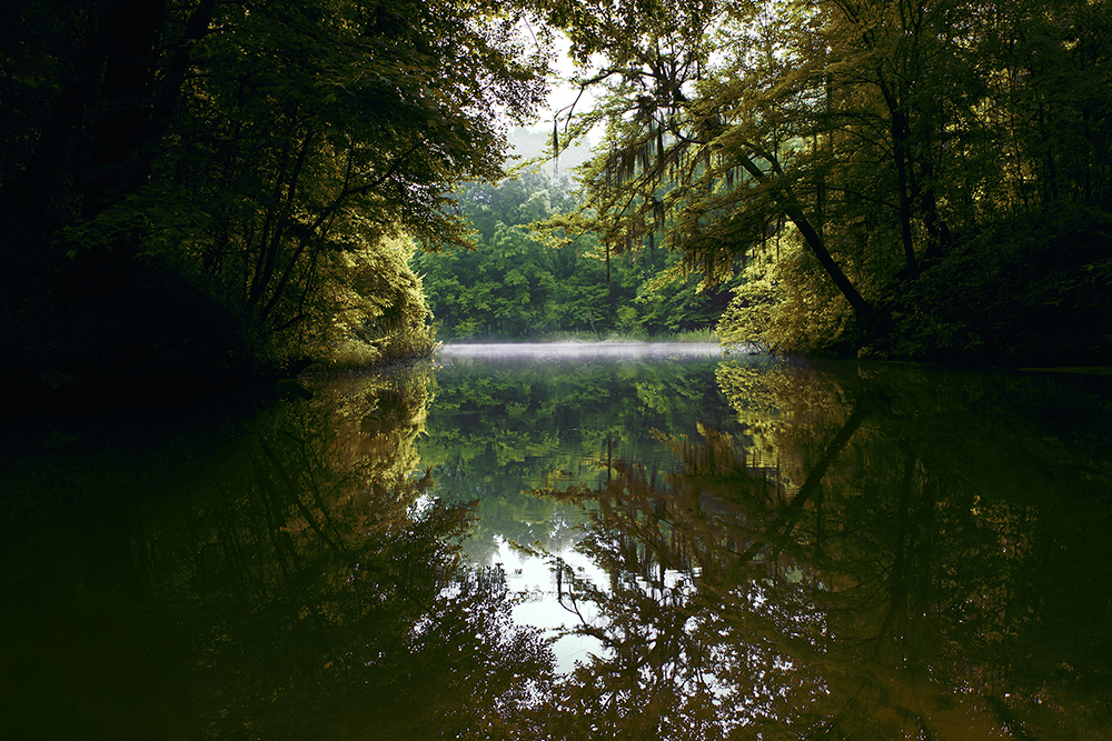 G. Douglas Adams (born 1971), 