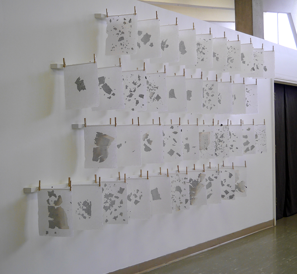 Kristen Tordella-Williams (born 1988), 