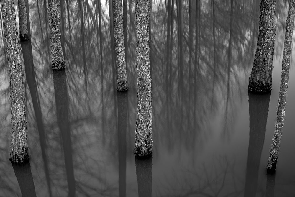 Steven Wayne (born 1982), 