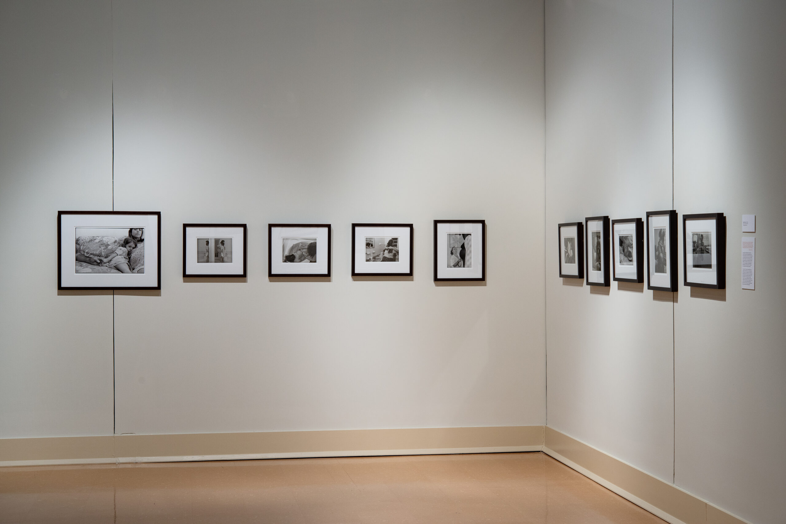 Betty Press (born 1942), Born at Home, 2000-03; Installation view; Silver gelatin prints
