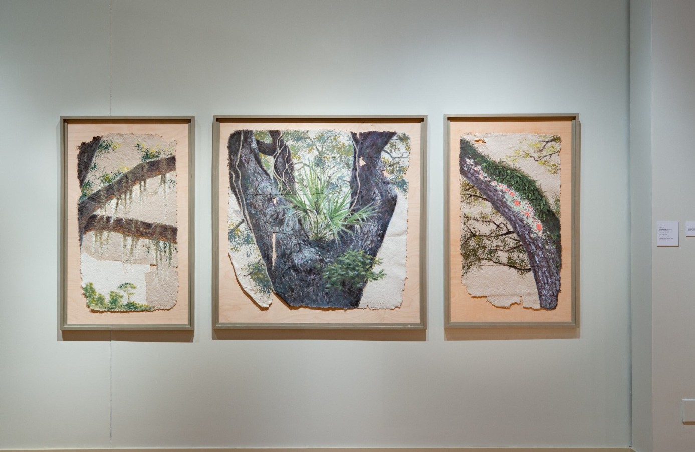 Jerrod Partridge (born 1977), Oak Plays Host (Triptych); Installation view; 2024 Oil on handmade paper