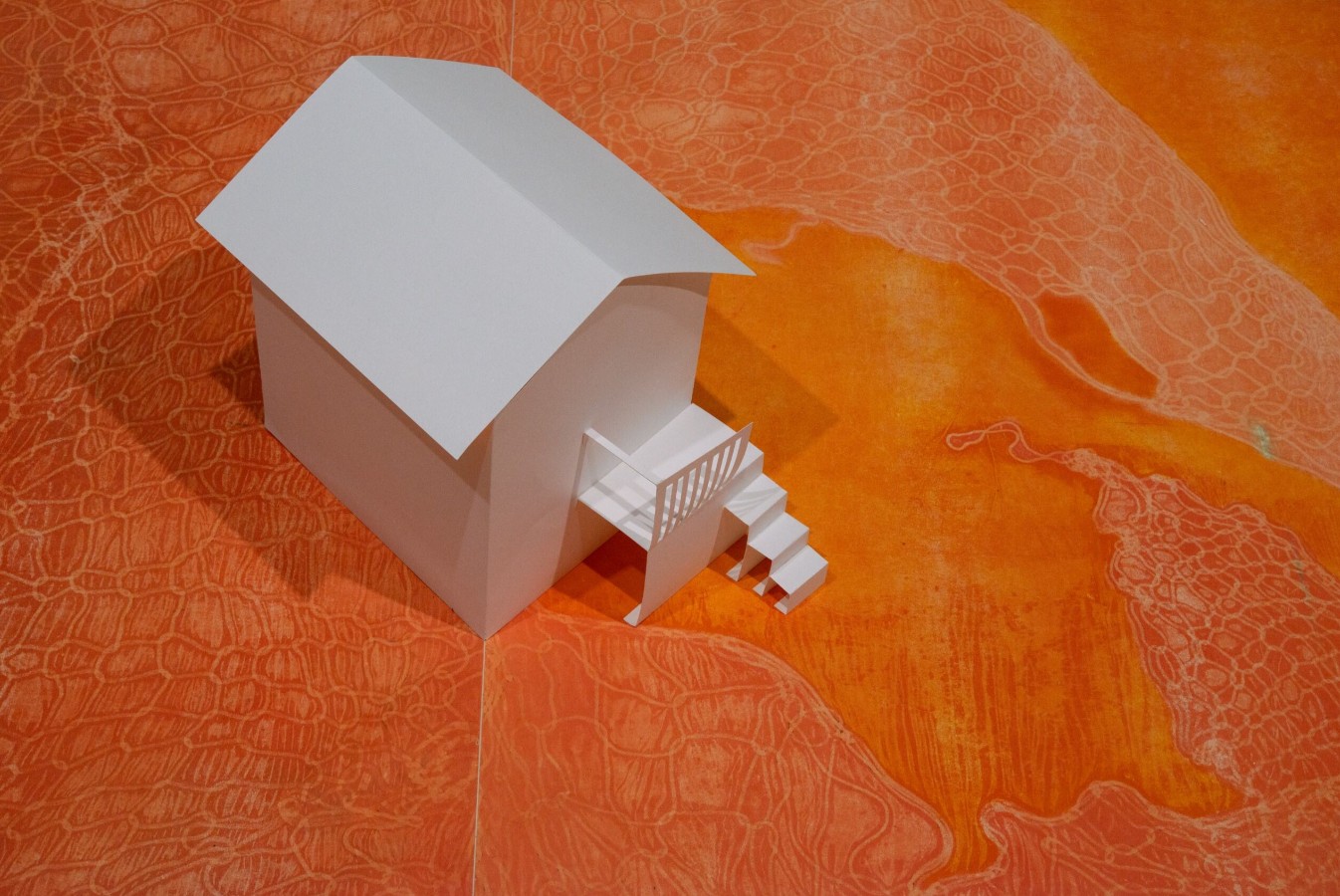 Sue Carrie Drummond (born 1990), The Mold Garden (detail), 2024; Installation view; Monotypes and pochoir prints on Stonehenge paper (3 of 6 total spreads), vinyl adhesive